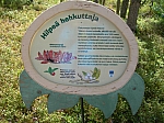 DSCN4614
