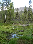 DSCN4625