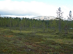 DSCN4654