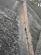 DSCN2484