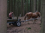 DSCN2498