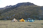 Kemp Taullipampa