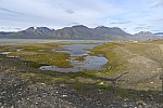Laguna u kempu