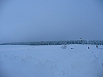 fox_033
