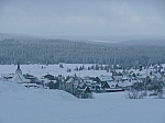 fox_034