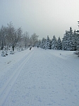 DSCN3485