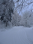 5 km okruh odb. na Einsiedel