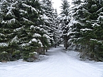 Prořezaný začátek Promenády