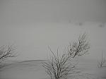 DSCN0186
