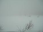 DSCN0187