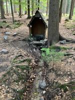 Studánka Kobylí Hlava