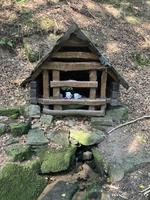 Studánka pod Bukovou horou