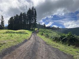 Cesta na Pico da Vara