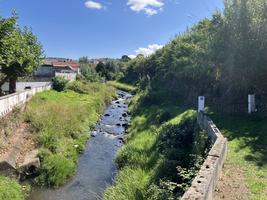 Cesta podél potoka