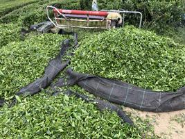 Pytle a sklízecí stroj