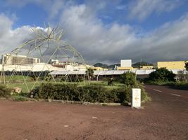 Ananasová plantáž