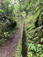 Levada
