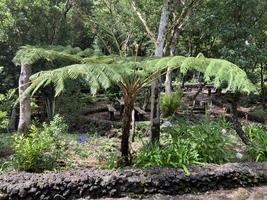 Parque Florestal do Capelo