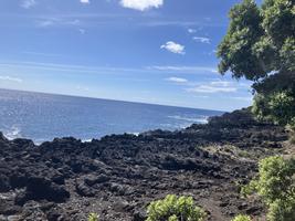 Značka lávoviště