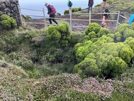 Propadlina Furna Abrigo