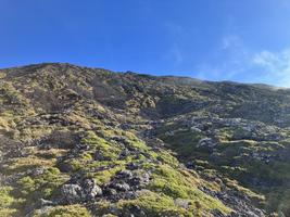 Svah porostlý vřesy