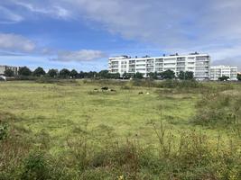 Pastvina pod apartmány