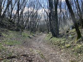 Cesta ke Škocjanským jeskyním
