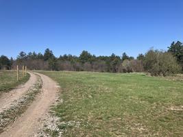 Rogainingové shromaždiště