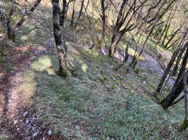 Serpentiny do propasti