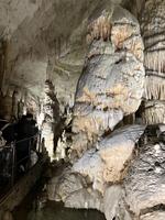 Příliš šlehačky