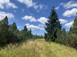 Grünwaldské rašeliniště