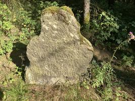 Leichenstein
