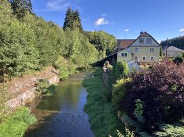 Flóha v Dittersbachu