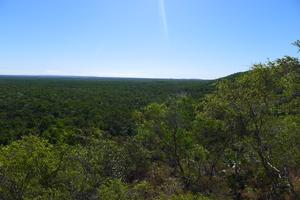 Lesy Litchfield NP