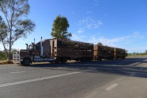 Road Train