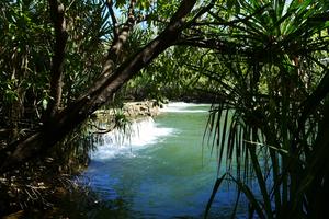 Mataranka Falls