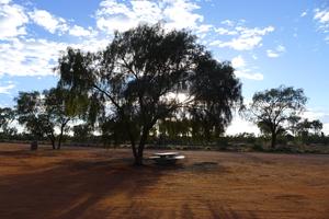 Desert Oaks Rest Area