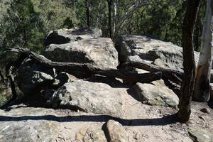 Spirey Lookout