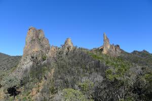 Bread Knife a Belougery Spire