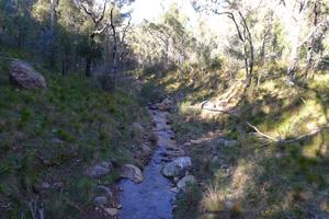 West Spirey Creek III