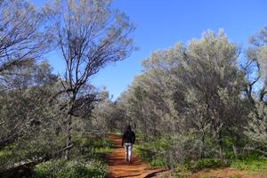 Start Little Mountain Track