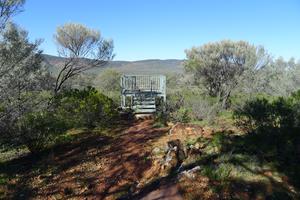 Little Mountain Lookout