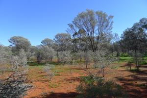 Ben Lomond Rest Area