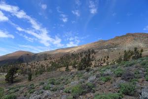 Guajara a Morra del Río