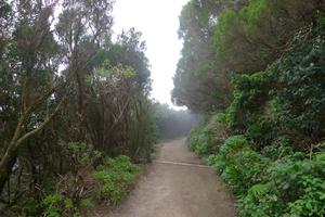 Pista Cabezo del Tejo