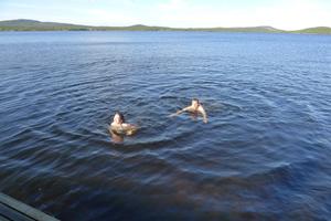 Plavání v Inarijärvi